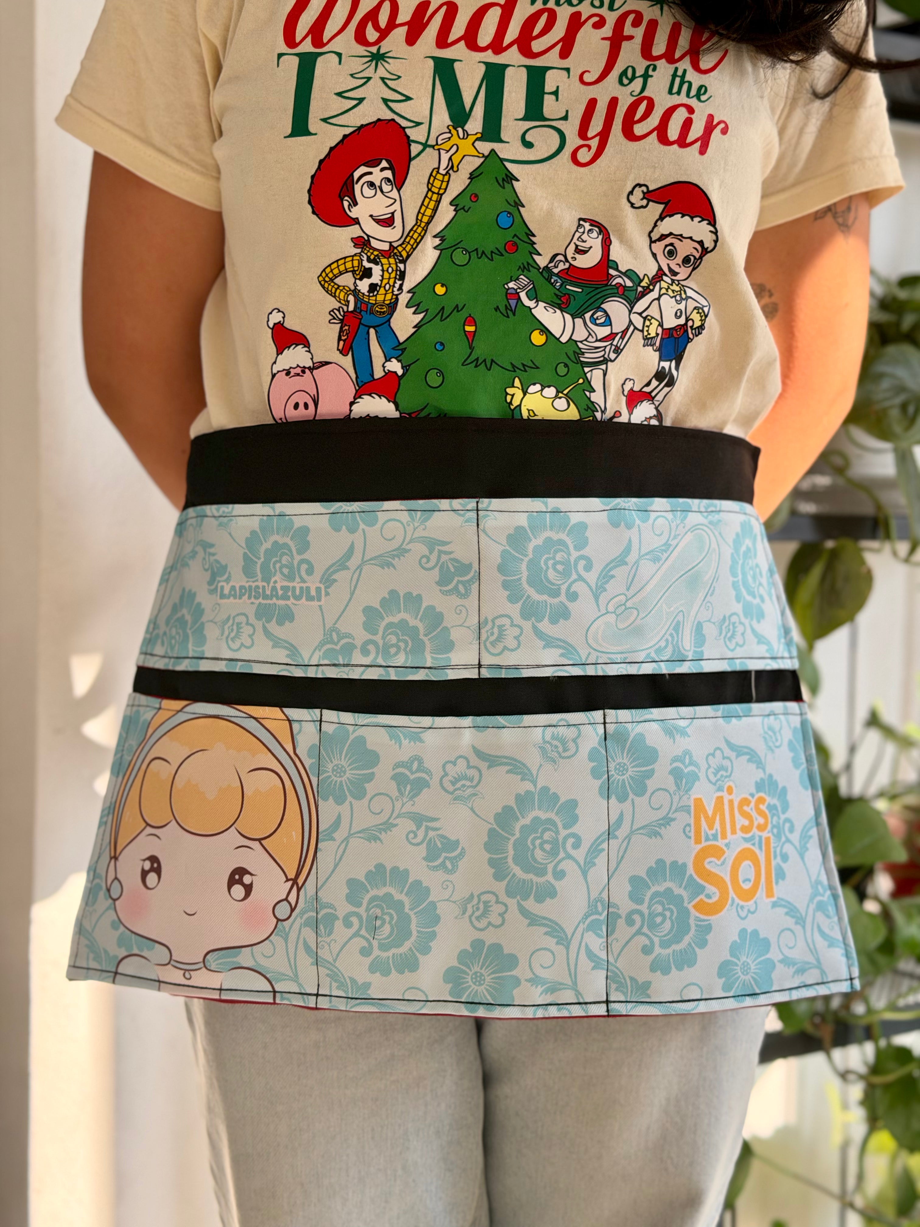 Apron │ Cinderella 