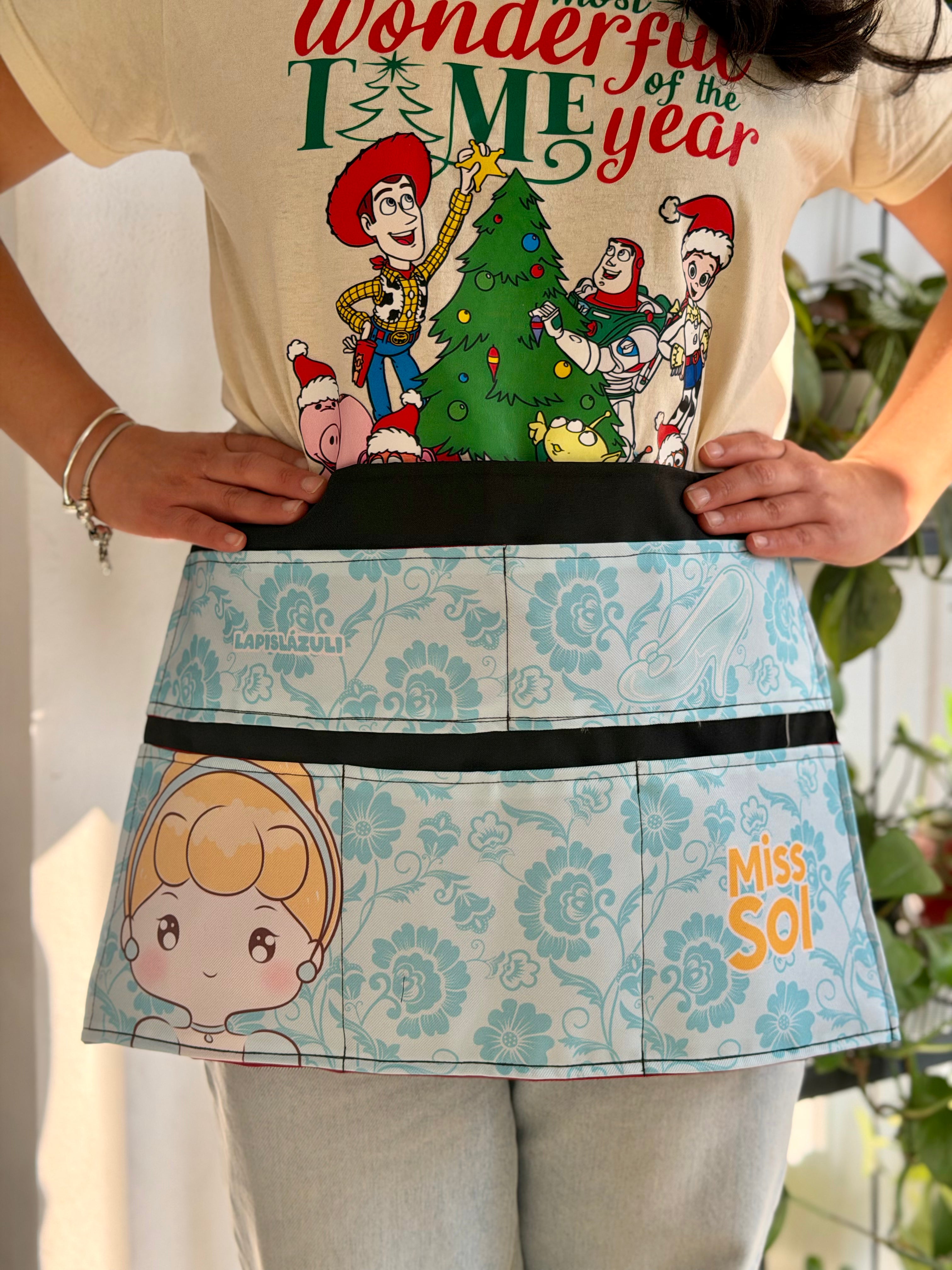 Apron │ Cinderella 