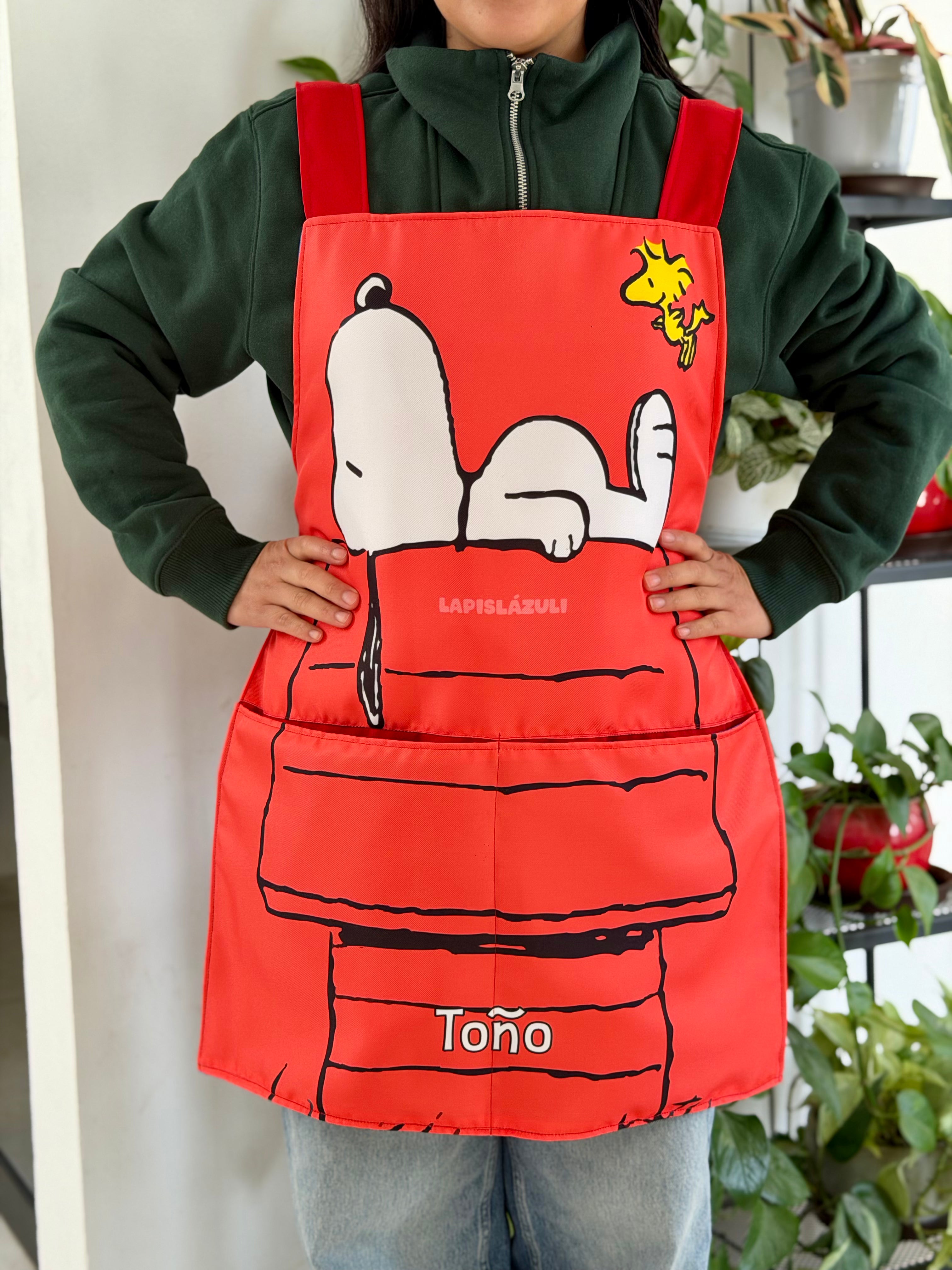 Tirantes │ Snoopy II