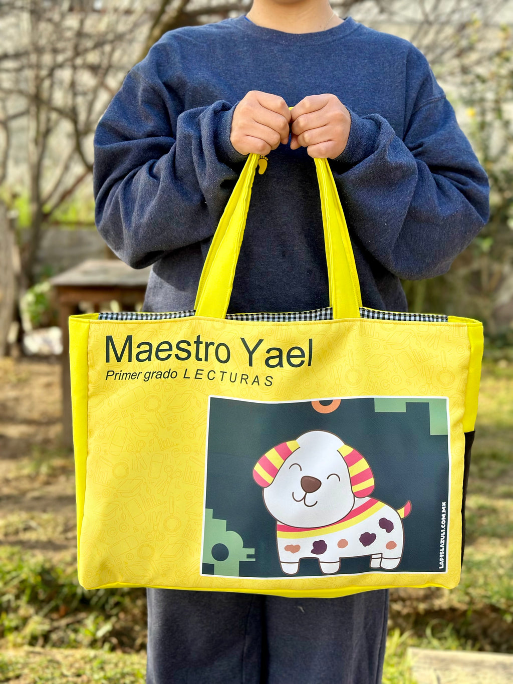 Maxibolsa │ Libro de Lecturas IV