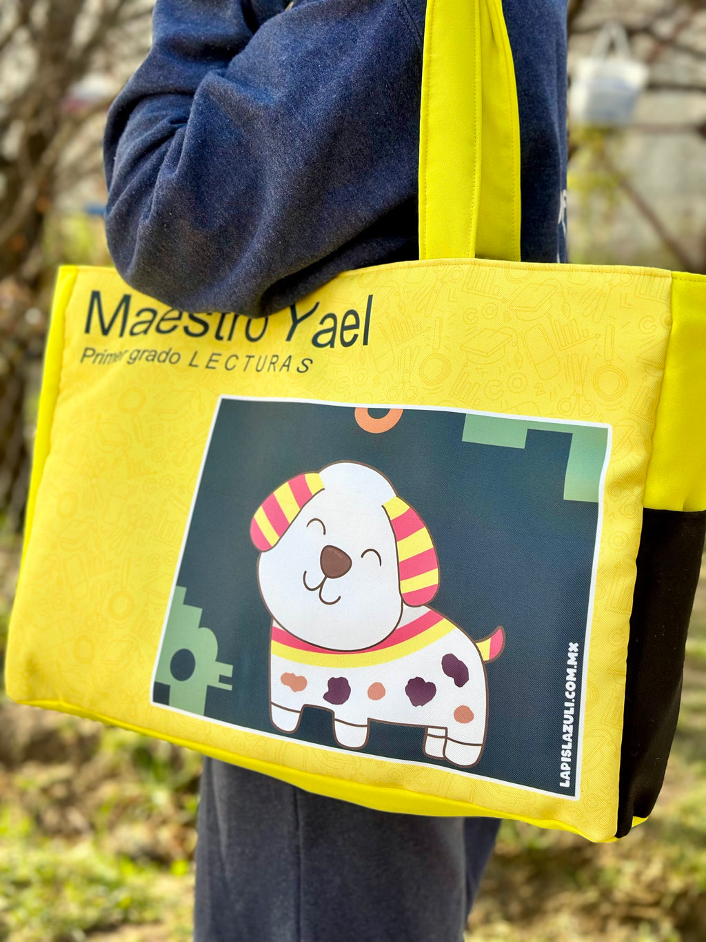 Maxibolsa │ Libro de Lecturas IV